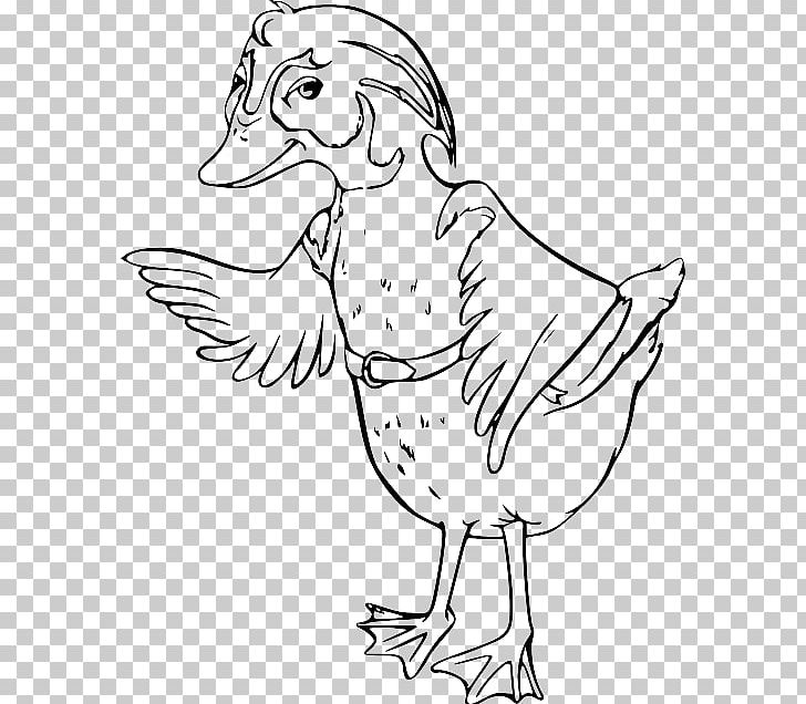 Duck Bird Rooster Cygnini Beak PNG, Clipart, Animal, Animals, Art, Artwork, Ausmalbild Free PNG Download