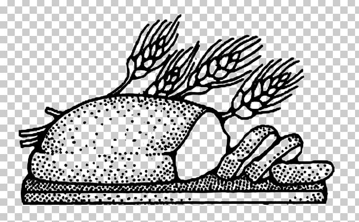 Fish White Bread Rye Bread PNG, Clipart, Animals, Area, Art, Baking, Bird Free PNG Download