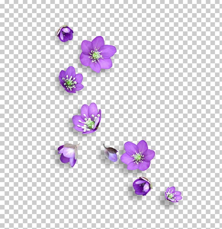 Flower Icon PNG, Clipart, Art, Body Jewelry, Computer Graphics, Decoration, Download Free PNG Download