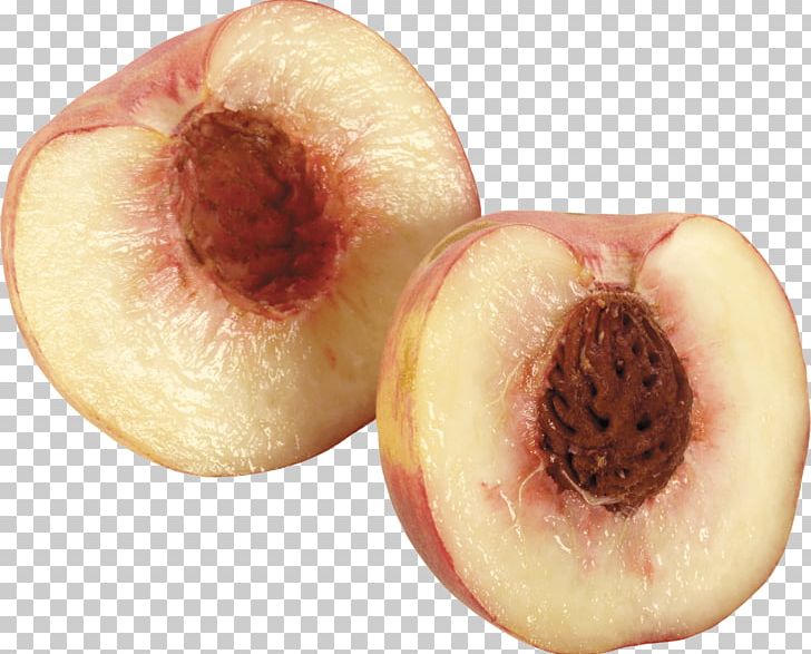 Nectarine Clipping Path PNG, Clipart, Apricot, Camera, Clipping Path, Download, Food Free PNG Download