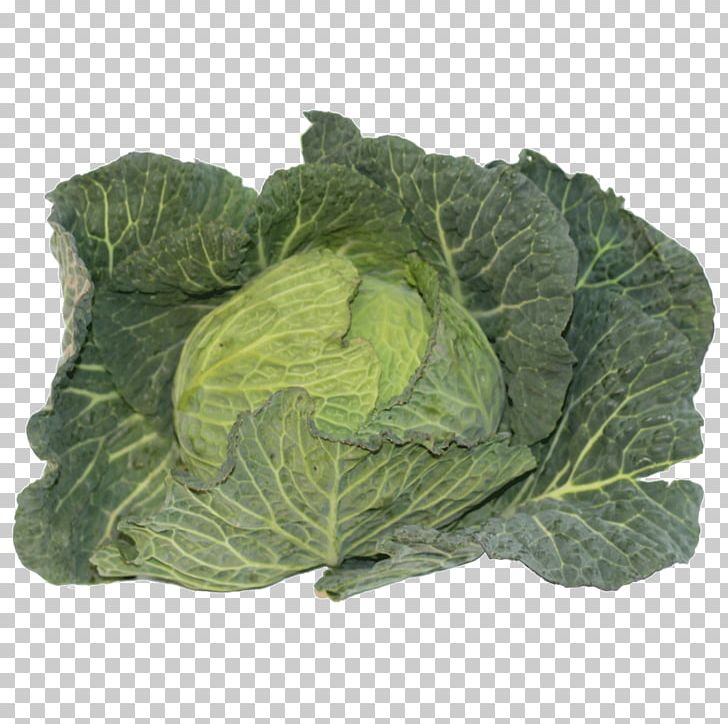 Savoy Cabbage Collard Greens Spring Greens Cruciferous Vegetables Komatsuna PNG, Clipart, Brassica Oleracea, Cabbage, Chard, Collard Greens, Cruciferous Vegetables Free PNG Download