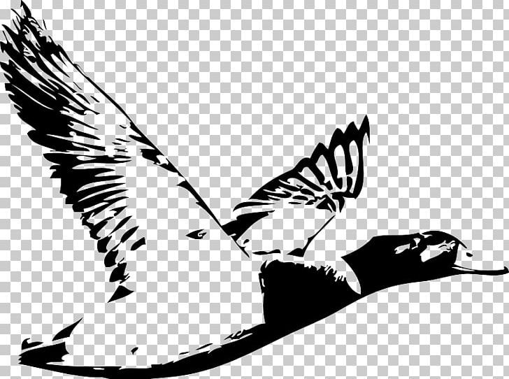Duck Waterfowl Hunting Logo Water Bird PNG, Clipart, Animals, Beak, Bird, Bird Of Prey, Black Free PNG Download