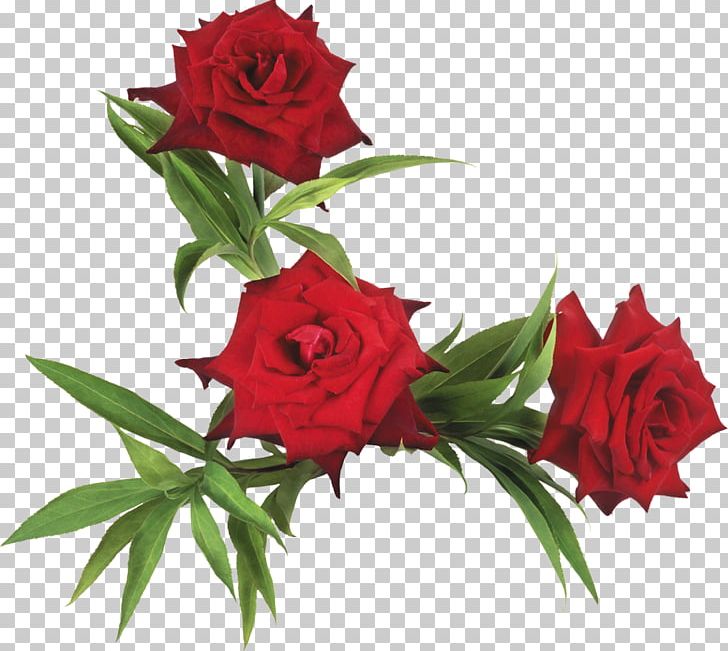 Flower Garden Roses PNG, Clipart, Anemone, Archive File, Cut Flowers, Data Compression, Desktop Wallpaper Free PNG Download