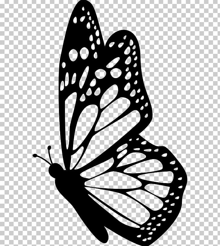 Monarch Butterfly Insect PNG, Clipart, Animal, Artwork, Black And White, Brush Footed Butterfly, Butterfly Free PNG Download