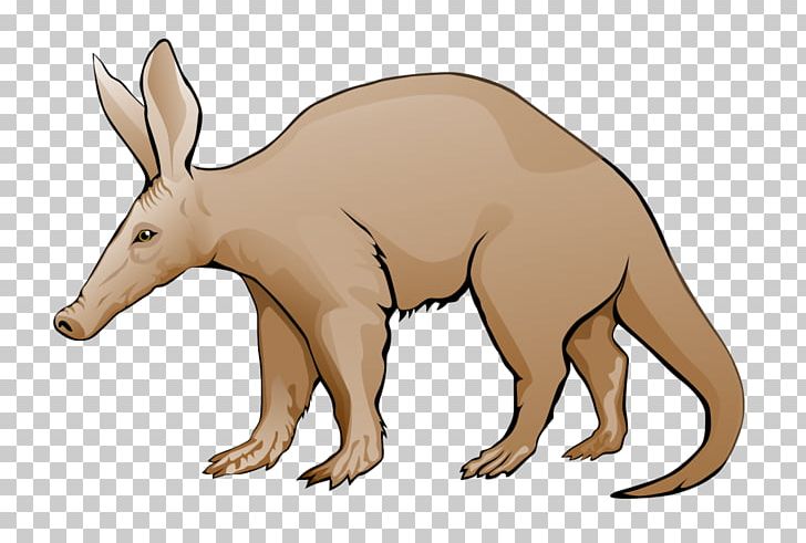 Aardvark Anteater Website PNG, Clipart, Aardvark, Animal Figure, Anteater, Bear, Carnivoran Free PNG Download