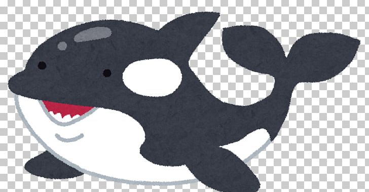 Killer Whale タヌキとキツネ Marine Mammal Earless Seal PNG, Clipart, Algorithmic Trading, Animal, Animal Figure, Carnivoran, Cartoon Free PNG Download