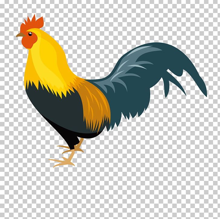Rooster Chicken Drawing PNG, Clipart, Animal, Animals, Balloon Cartoon, Beak, Big Free PNG Download