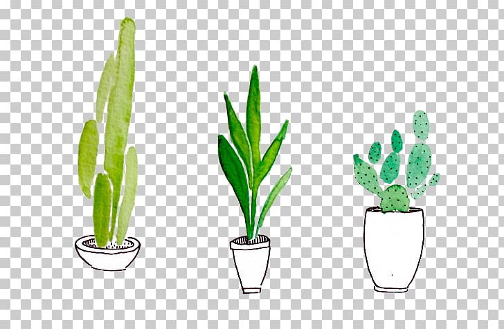 Cactus Watercolor Painting Drawing Succulent Plant Plants PNG, Clipart, Cactus, Color, Drawing, Flower, Flowering Plant Free PNG Download