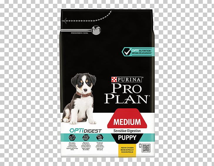 Dog Food Puppy Nestlé Purina PetCare Company Torrfoder PNG, Clipart, Breed, Carnivoran, Dog, Dog Breed, Dog Food Free PNG Download