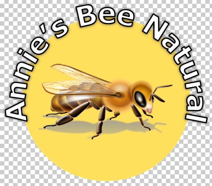 Honey Bee Brighton Holistics Course Didactic Method Education PNG, Clipart, Accreditation, Arthropod, Bee, Bee Wax, Brighton Free PNG Download
