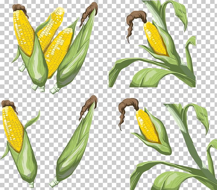 Vegetable Maize Corn On The Cob PNG, Clipart, Animation, Commodity, Computer Icons, Corn, Corn Kernel Free PNG Download