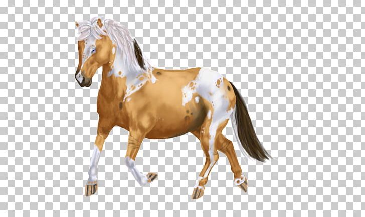 Stallion Halter Mustang Mare Horse Harnesses PNG, Clipart, Bridle, Halter, Horse, Horse Harness, Horse Harnesses Free PNG Download