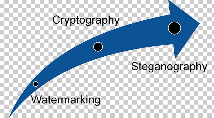 Steganography Encryption Information Computer Forensics Computer Security PNG, Clipart, Angle, Area, Art, Blue, Brand Free PNG Download