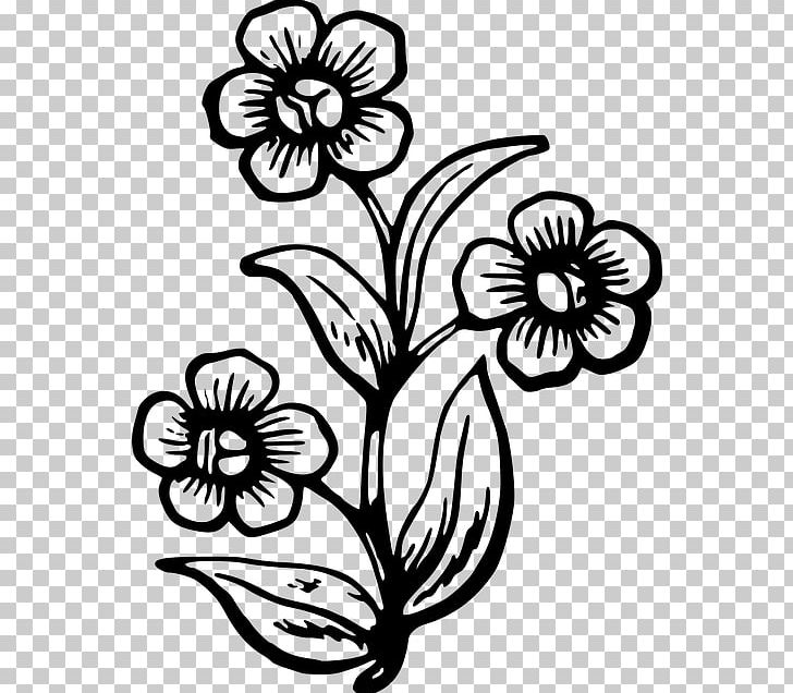 Drawing Flower Plant Painting PNG, Clipart, Art, Artwork, Black And White, Cut Flowers, Drawing Free PNG Download
