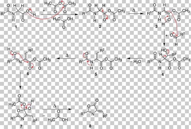 Hippuric Acid Erlenmeyer–Plöchl Azlactone And Amino-acid Synthesis Perkin Reaction Benzaldehyde Organic Chemistry PNG, Clipart, Amino Acid, Amino Acid Synthesis, Angle, Area, Aromatic Amino Acid Free PNG Download