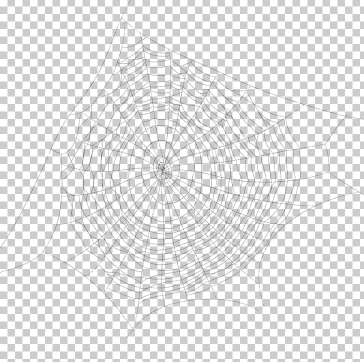 Spider Web Drawing Point PNG, Clipart, Angle, Area, Black And White, Circle, Cobweb Free PNG Download