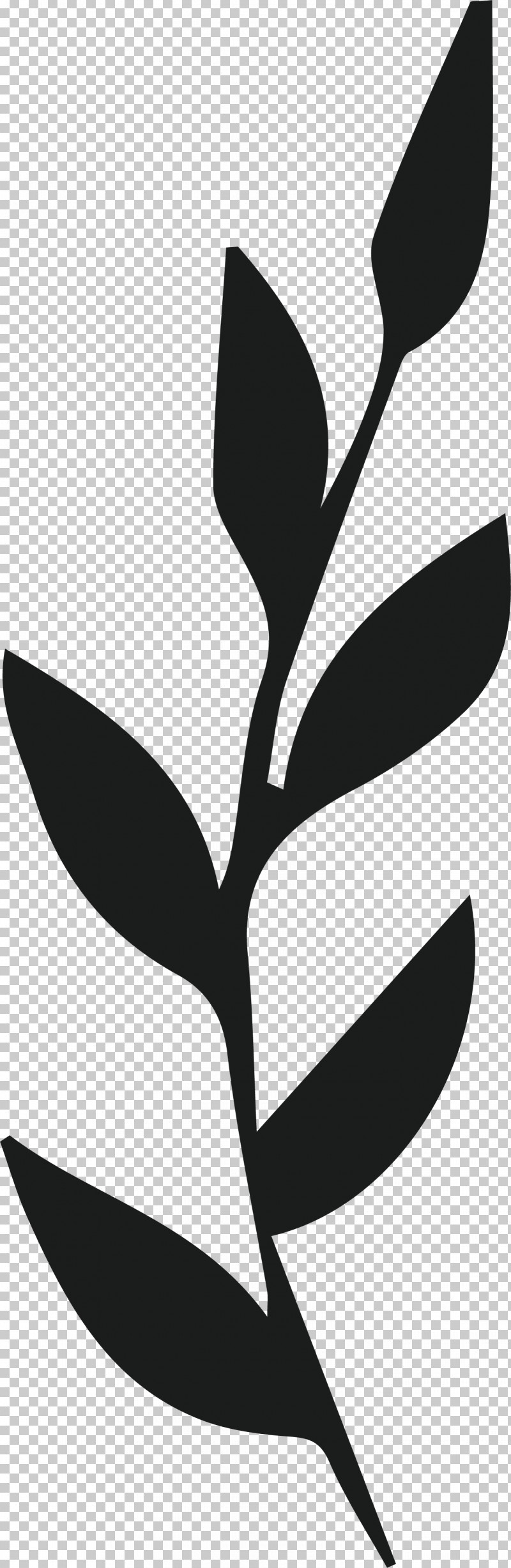 Plant Stem Petal Leaf Line Flower PNG, Clipart, Biology, Flower, Leaf, Line, Petal Free PNG Download