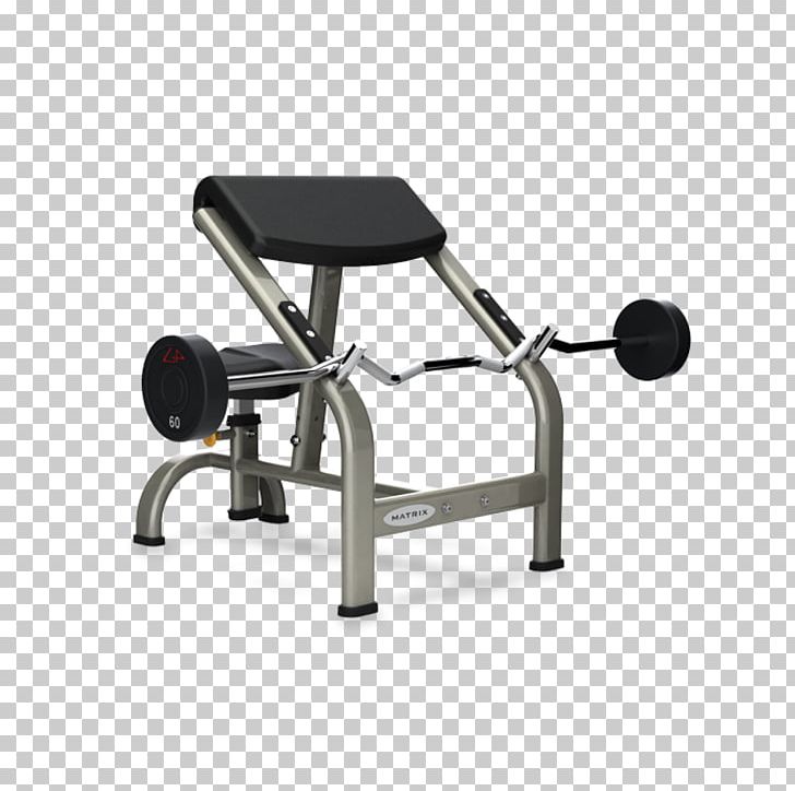 Bench Biceps Curl Weight Training Exercise Equipment Strength Training PNG, Clipart, Angle, Barbell, Bench, Biceps, Biceps Curl Free PNG Download