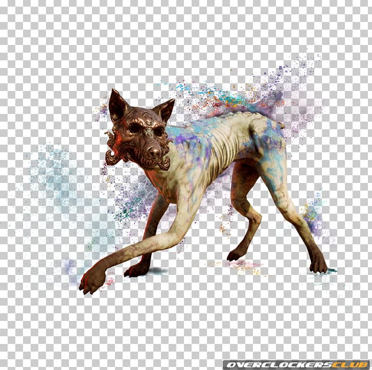 Far Cry 4 Shangri-La T-shirt Ubisoft Himalayas PNG, Clipart, Carnivora, Carnivoran, Crying, Dog, Dog Breed Free PNG Download