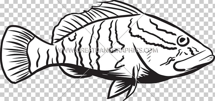 Fish Grouper Line Art Black Sea Bass PNG, Clipart, Animal, Animals, Artwork, Bass, Black Free PNG Download