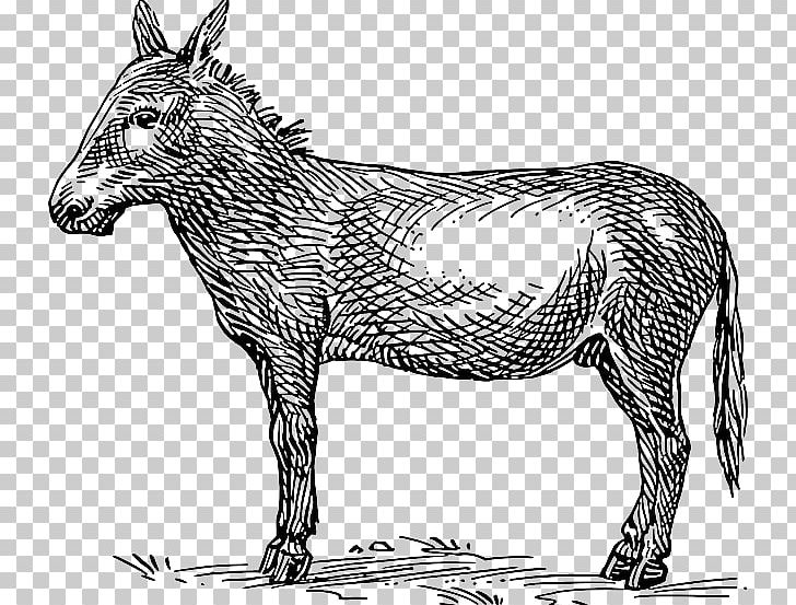 Mule Donkey PNG, Clipart, Animal Figure, Animals, Black And White, Donkey, Download Free PNG Download