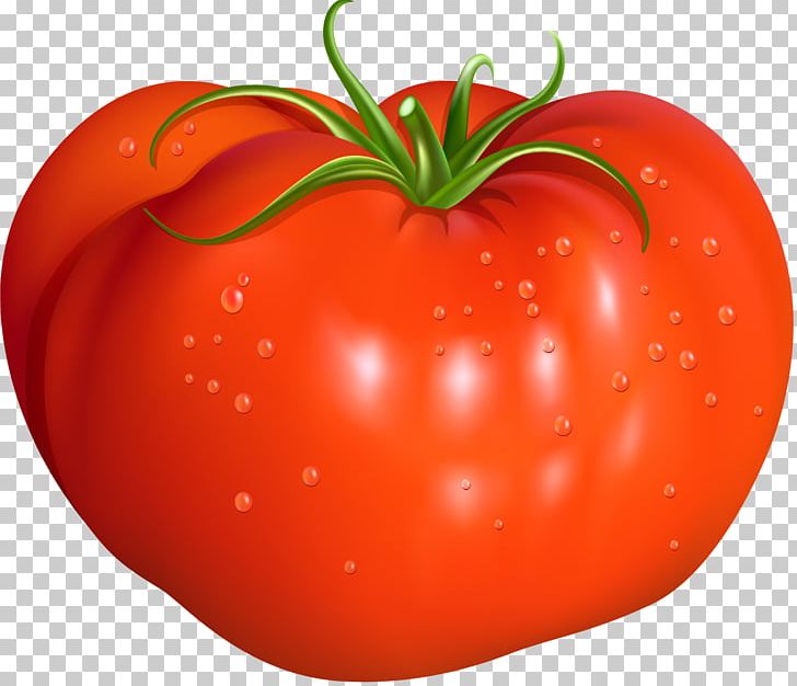 Tomato Red Illustration PNG, Clipart, Apple, Decorative, Food, Fruit, Natural Foods Free PNG Download