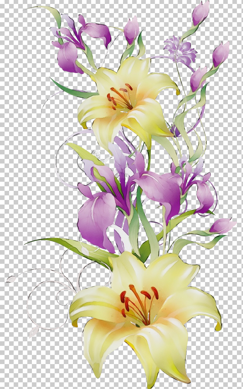 Floral Design PNG, Clipart, Cut Flowers, Floral Design, Flower, Flower Bouquet, Irises Free PNG Download