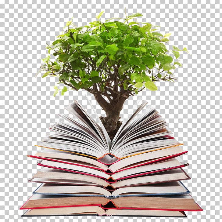 Papermaking Stock Photography Tree Bonsai PNG, Clipart, Bonsai, Bonsai Tree, Bookbinding, Flowerpot, Houseplant Free PNG Download