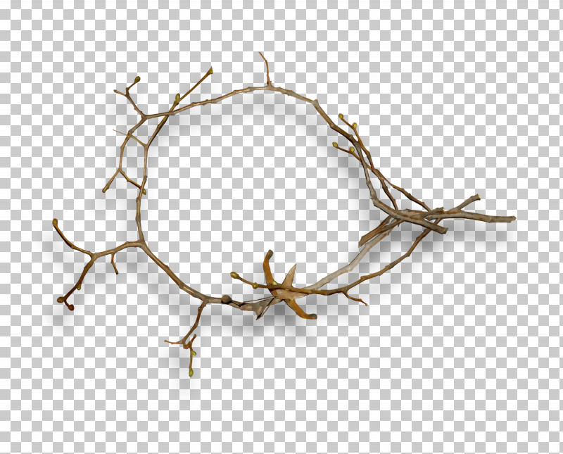 Branch Twig Plant PNG, Clipart, Branch, Paint, Plant, Twig, Watercolor Free PNG Download