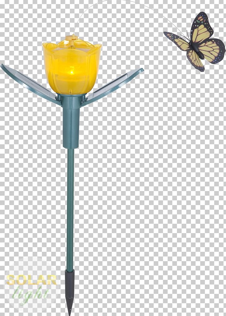 Butterflies And Moths Light Fixture Lamp 2M Membrane PNG, Clipart, Butterflies And Moths, Flower, Globo, Insect, Invertebrate Free PNG Download