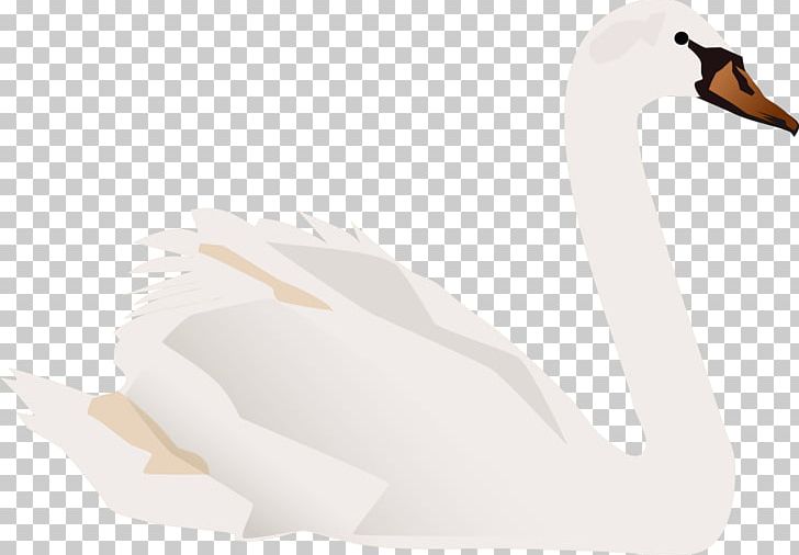 Duck Neck Illustration PNG, Clipart, Animals, Beak, Bird, Duck, Ducks Geese And Swans Free PNG Download