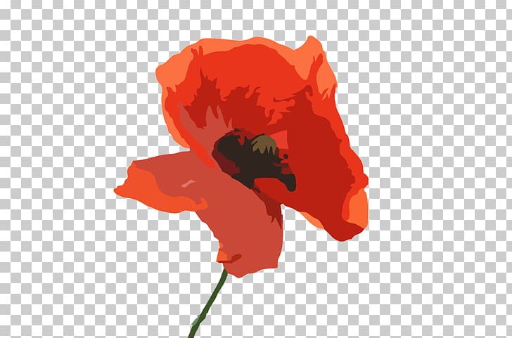 Australia Common Poppy Flower PNG, Clipart, Anzac Day, Australia, Common Poppy, Computer Wallpaper, Coquelicot Free PNG Download