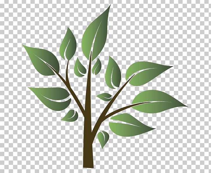 Cartoon PNG, Clipart, Animaatio, Art, Branch, Cartoon, Creativity Free PNG Download