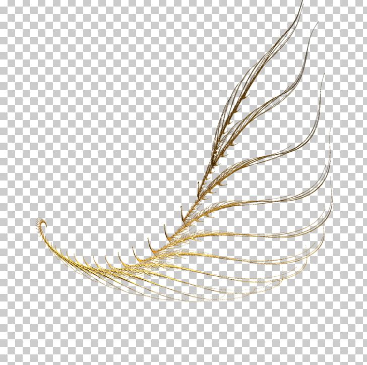 Leaf Line PNG, Clipart, Effet, Feather, Leaf, Line, Plant Free PNG Download