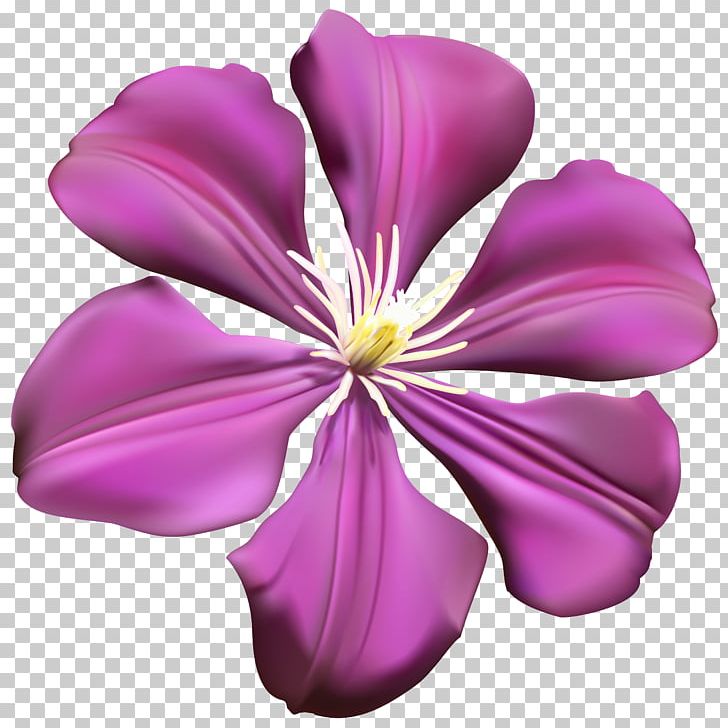 Purple Flower PNG, Clipart, Clipart, Clip Art, Color, Cut Flowers, Flower Free PNG Download