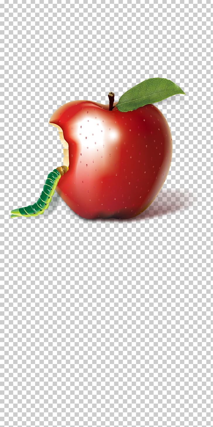 Apple PNG, Clipart, Advertising, Apple Fruit, Apple Logo, Apple Tree, Auglis Free PNG Download