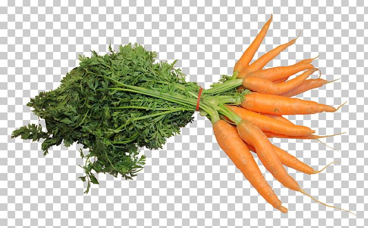 Carrot Cake Juice Vegetable PNG, Clipart, Avocado, Carrot, Carrot Cake, Food, Fresh Free PNG Download