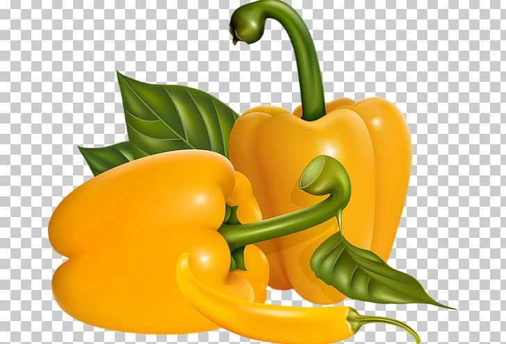 Habanero Serrano Pepper Cayenne Pepper Yellow Pepper Bell Pepper PNG, Clipart, Bell Pepper, Cayenne Pepper, Chili Pepper, Diet Food, Food Free PNG Download