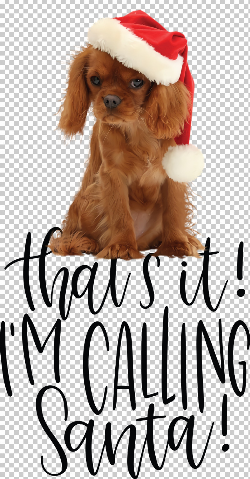 Calling Santa Santa Christmas PNG, Clipart, Biology, Breed, Calling Santa, Christmas, Companion Dog Free PNG Download