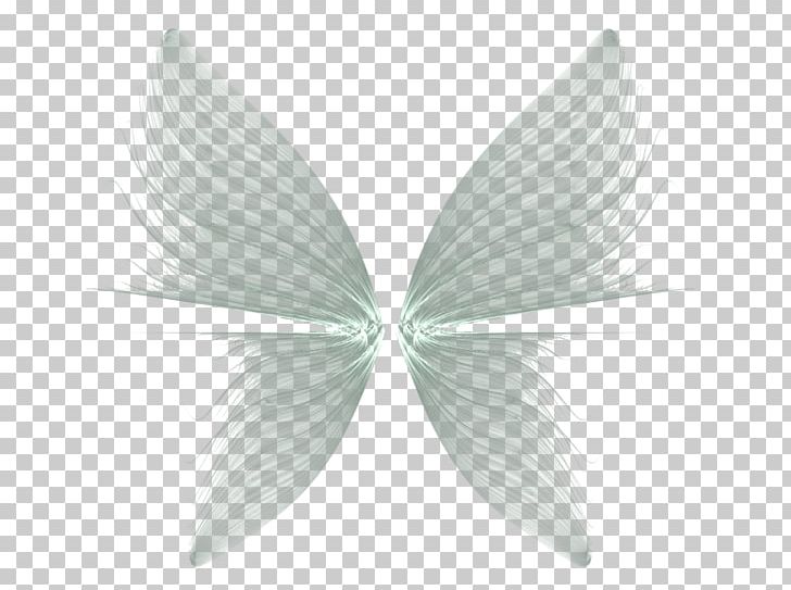 Butterfly Drawing Feather PNG, Clipart, Background, Black And White, Butterfly, Cartoon, Download Free PNG Download