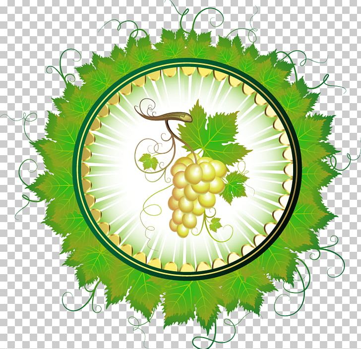 Common Grape Vine Juice Drawing PNG, Clipart, Christmas Wreath, Circle, Flower, Flowering Plant, Food Free PNG Download