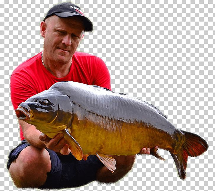 Fishing Rybieniec PNG, Clipart, Accommodation, Bass, Bony Fish, Carp, Fish Free PNG Download