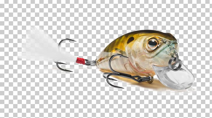 Spoon Lure Insect Fish AC Power Plugs And Sockets PNG, Clipart, Ac Power Plugs And Sockets, Animals, Bait, Fish, Fishing Bait Free PNG Download