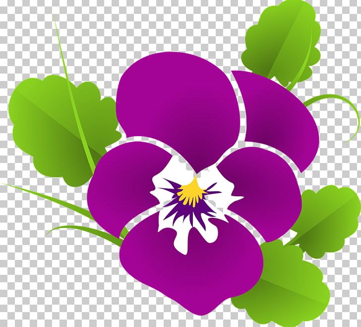 Violet Pansy PNG, Clipart, African Violets, Annual Plant, Clip Art, Color, Flora Free PNG Download