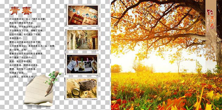 Desktop Metaphor Autumn Leaf Table PNG, Clipart, Advertising, Branch, Computer Wallpaper, Flower, Landscape Painting Free PNG Download