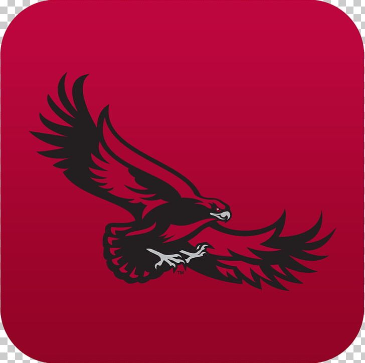 Eagle Saint Joseph's Hawks Baseball Saint Joseph's University PNG, Clipart,  Free PNG Download