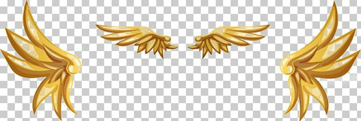 Gold PNG, Clipart, Adobe Illustrator, Angel Wing, Angel Wings, Chicken Wings, Combination Free PNG Download