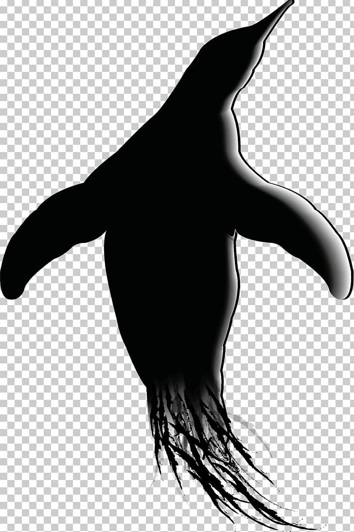 Penguin Sea Lion Silhouette PNG, Clipart, Animals, Beak, Bird, Black, Black And White Free PNG Download