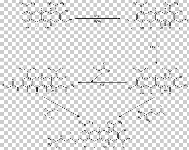 Rhododendron Chemistry Tigecycline Structure PNG, Clipart, Acid, Angle, Black, Black And White, Carboxylic Acid Free PNG Download