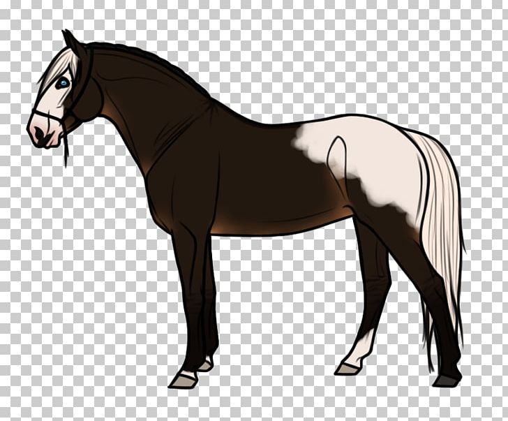 Stallion Horse Goat Pony Mane PNG, Clipart, Agriculture, Animal, Animals, English, Equestrian Sport Free PNG Download